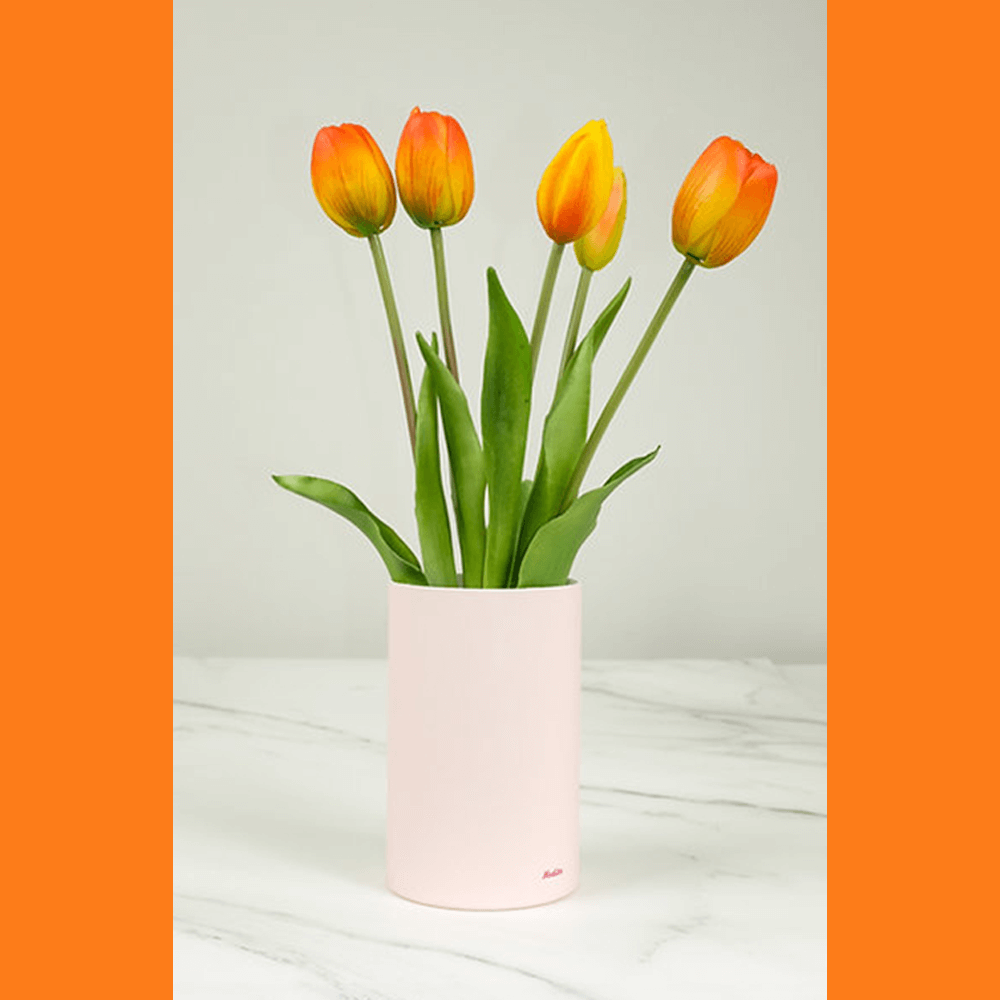 nodito-tulip-orange